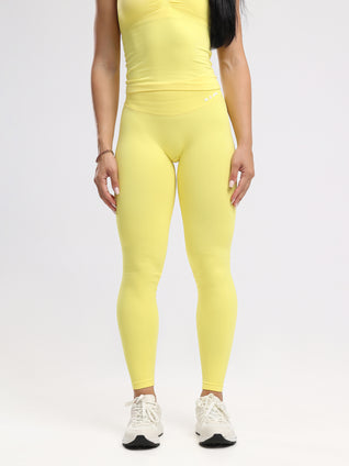 Hue Seamless Leggings - Neverover Activewear