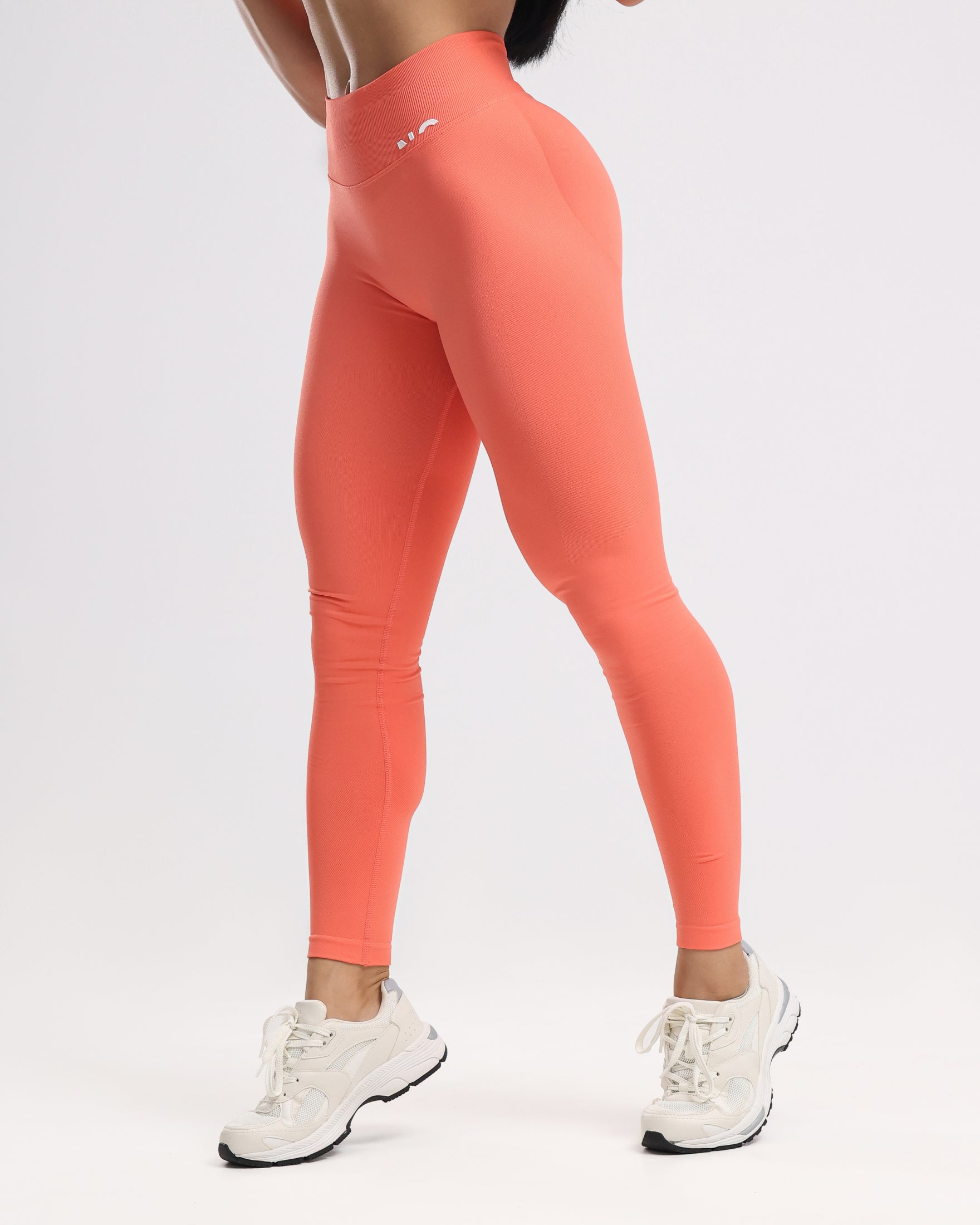 Hue Seamless Leggings